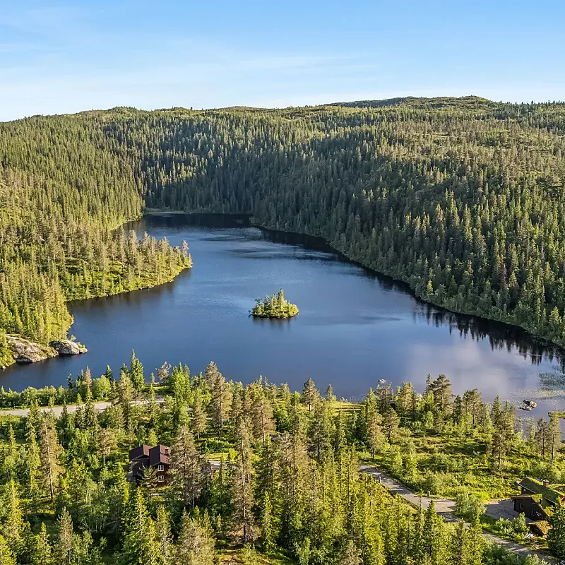 View image 6