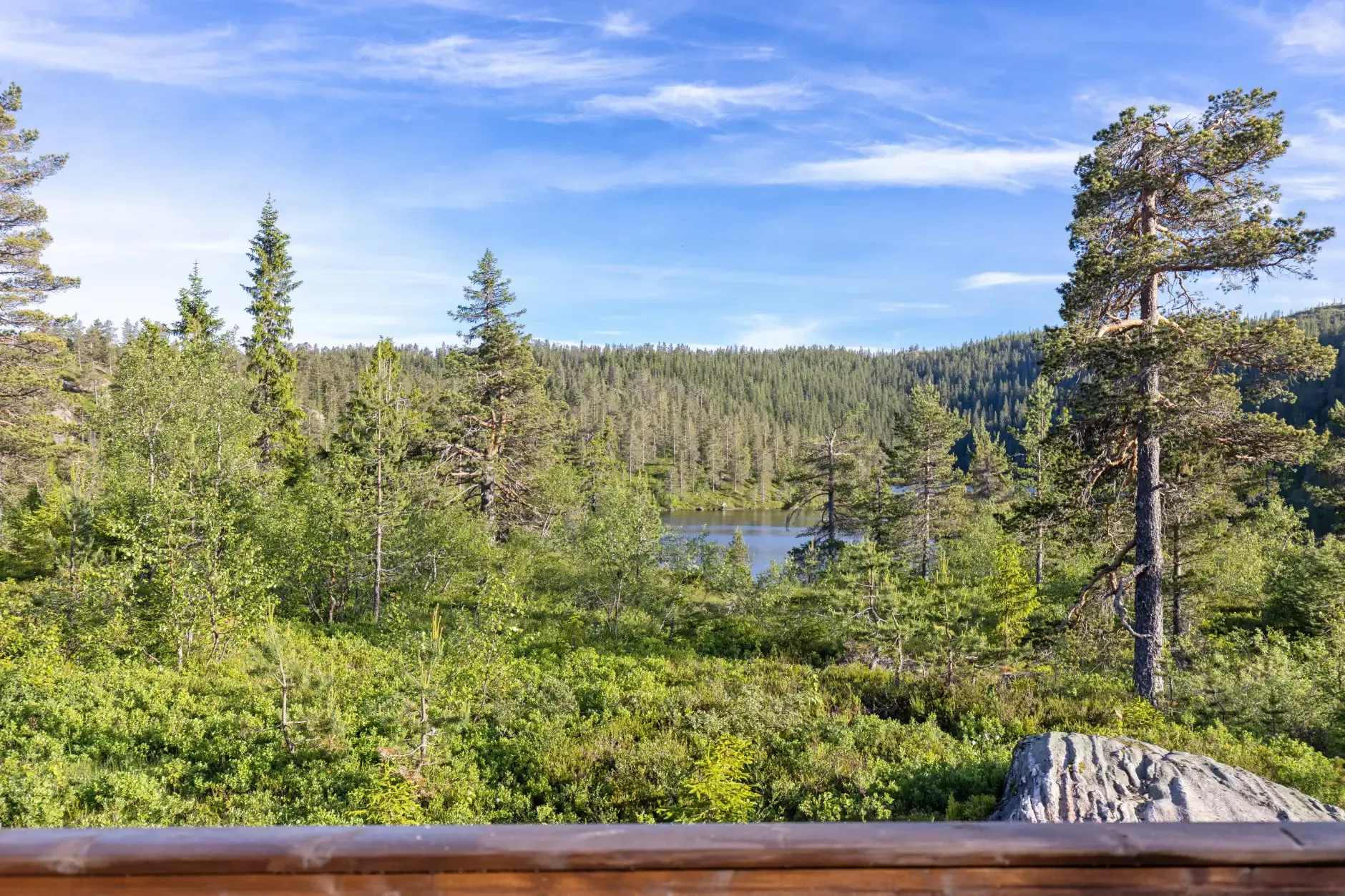 Modern 3-Bedroom Country House with Terrace Near Tråenvatna, Norway - View image 7 of 41