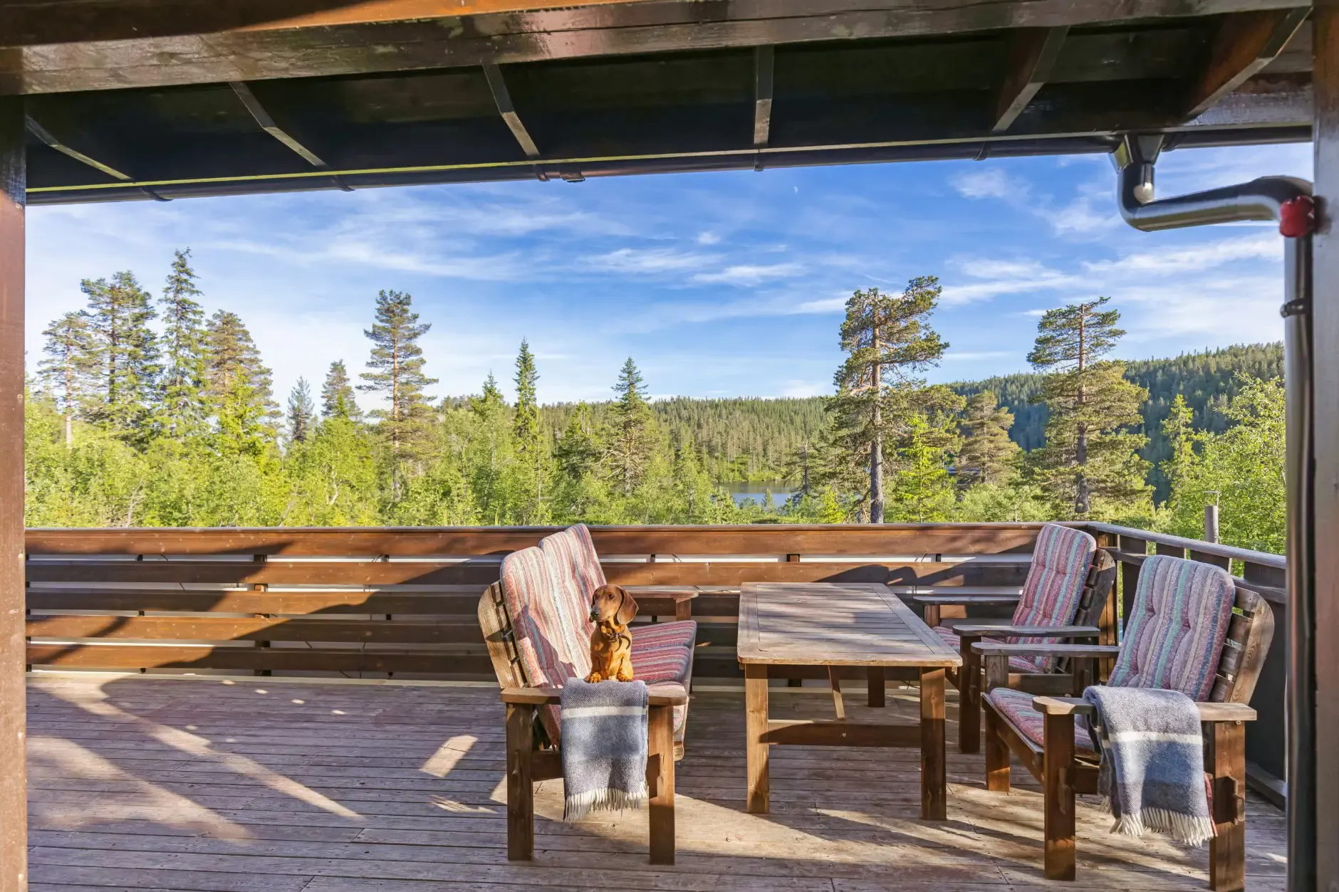 Modern 3-Bedroom Country House with Terrace Near Tråenvatna, Norway - View image 9 of 41