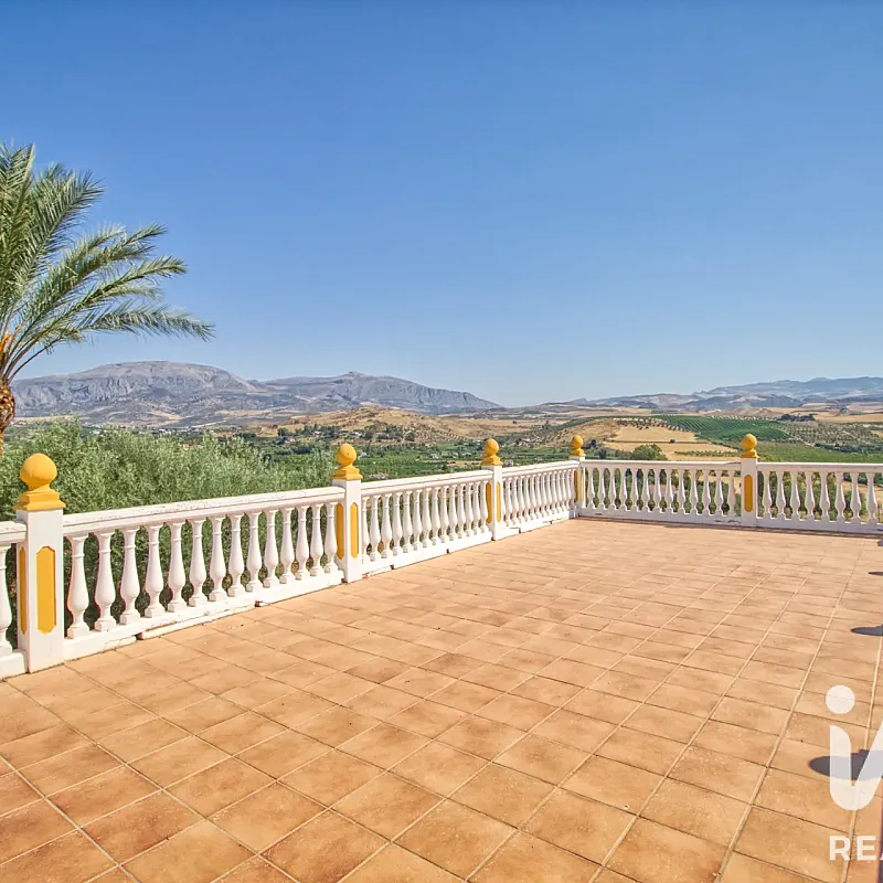 View image 8
