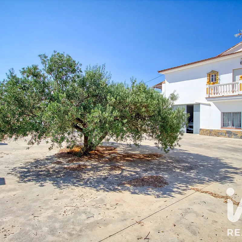 View image 10