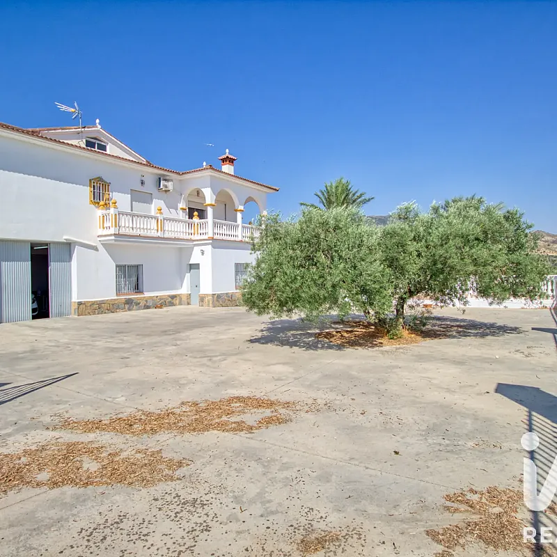 View image 11