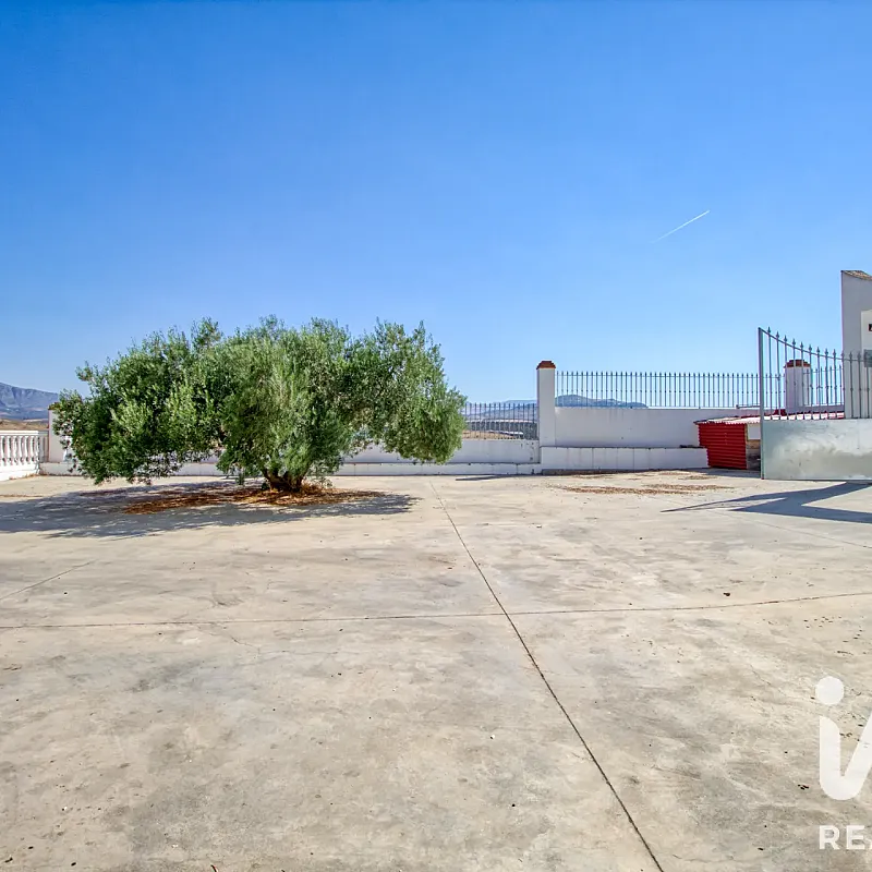 View image 12