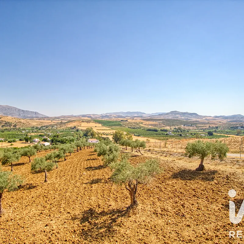 View image 28