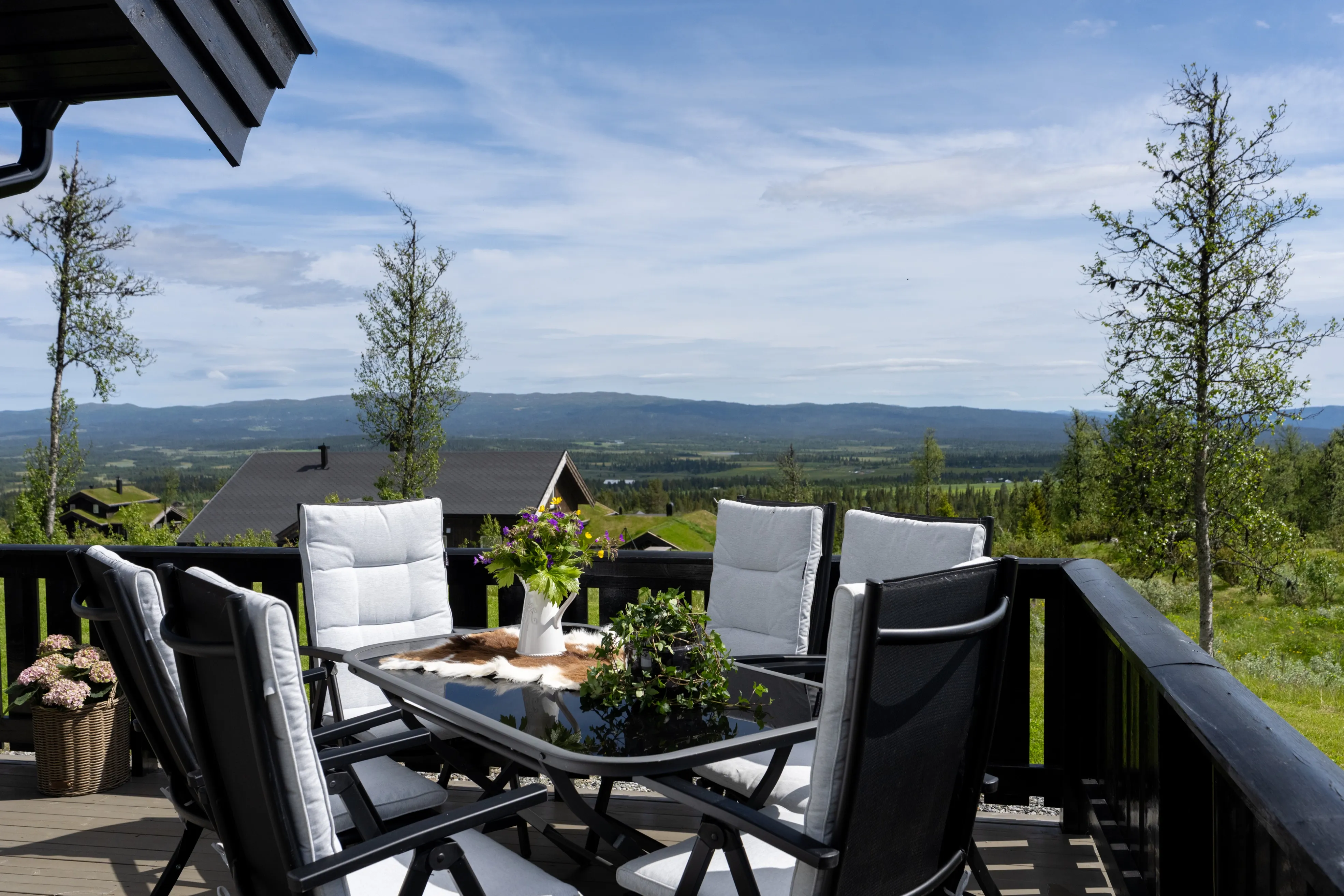 Modern 3-Bedroom Cabin with Expansive Terrace in Scenic Bualie, Norway - View image 28 of 37