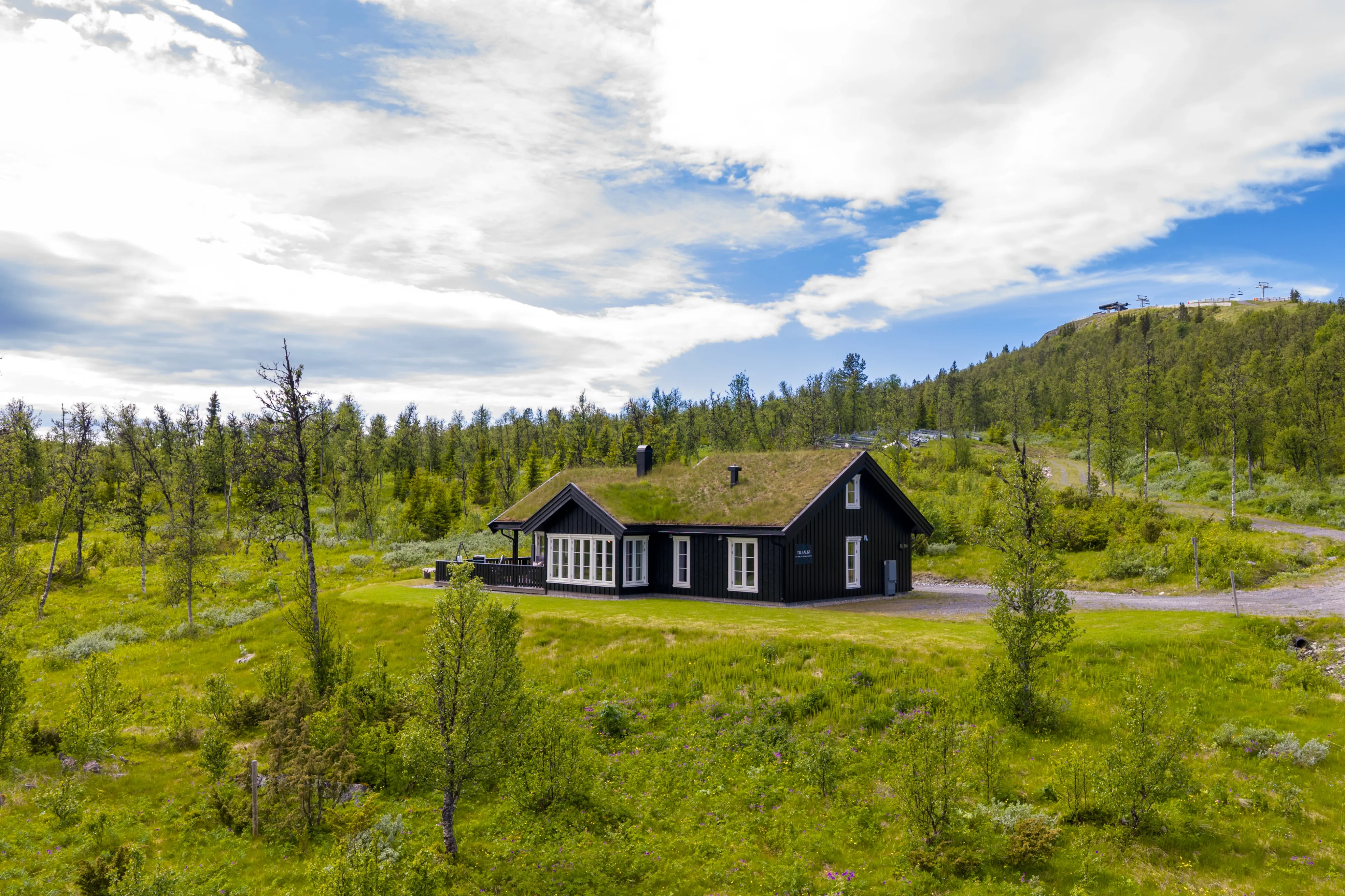 Modern 3-Bedroom Cabin with Expansive Terrace in Scenic Bualie, Norway - View image 32 of 37