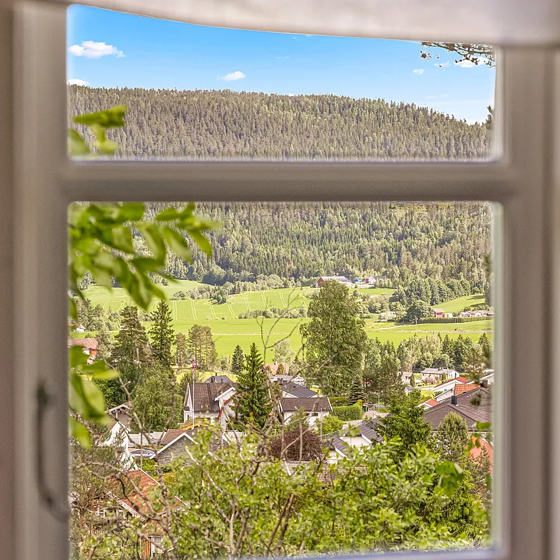 View image 14