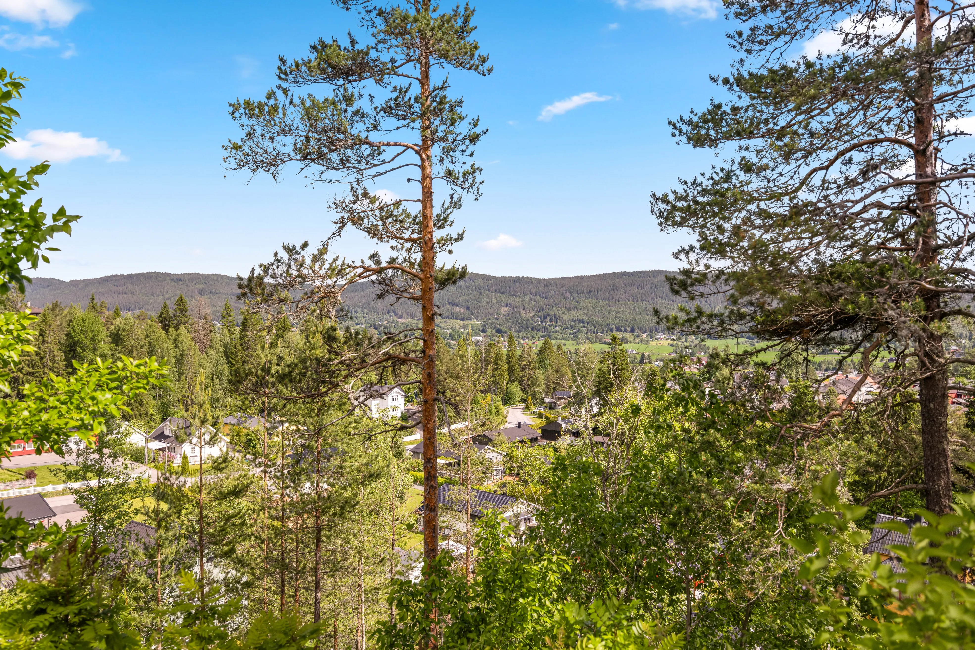1930s Hakadal Cottage with Expansive Grounds and Terrace - View image 38 of 50