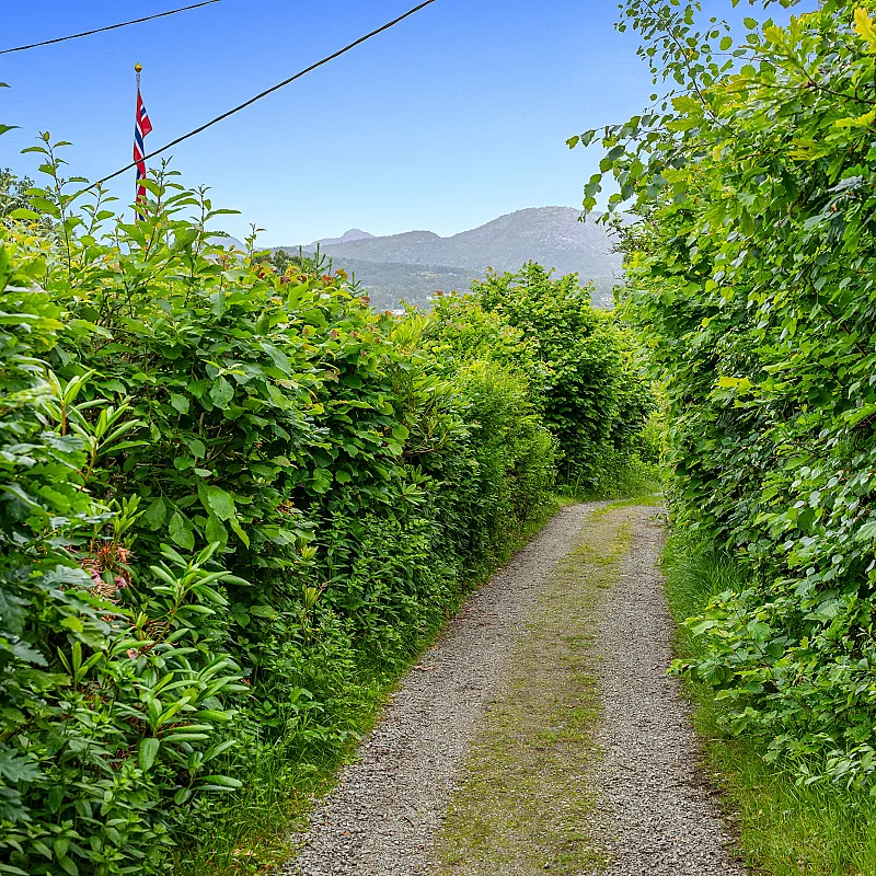 View image 25