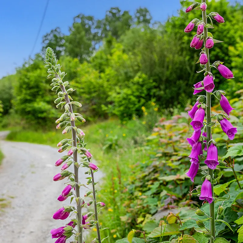 View image 26