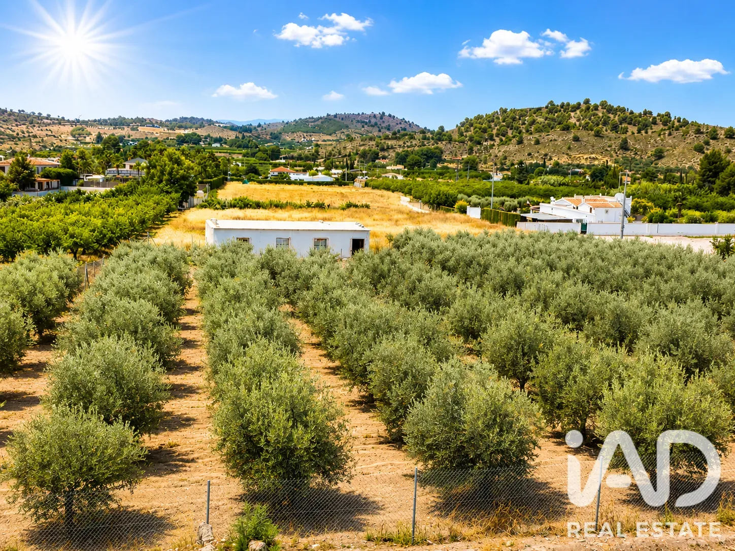 Spacious 6-Bedroom Villa with Pool and Gardens in Cehegín, Spain - View image 34 of 34