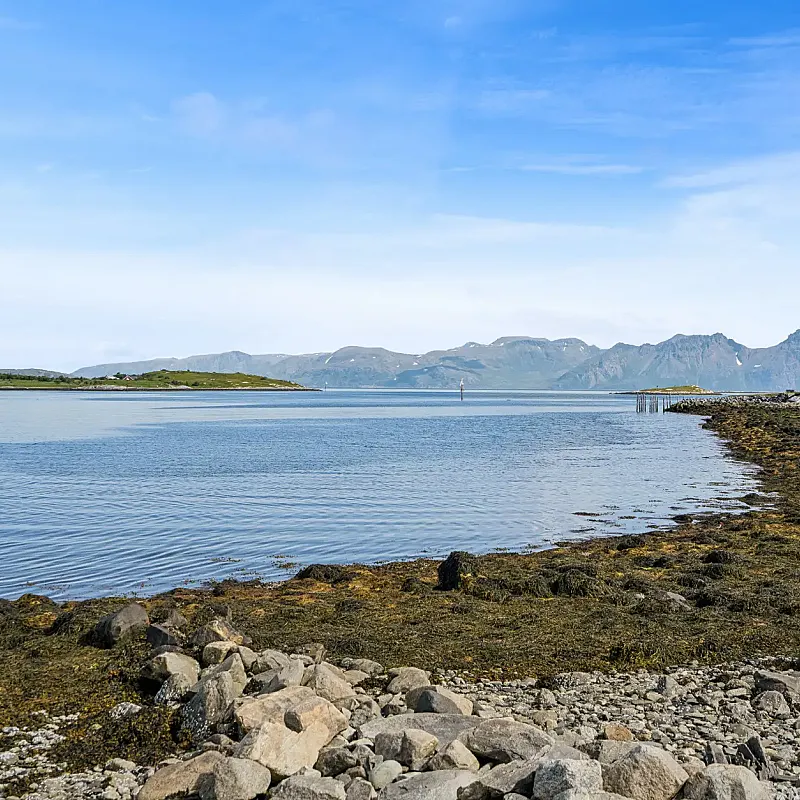 View image 28