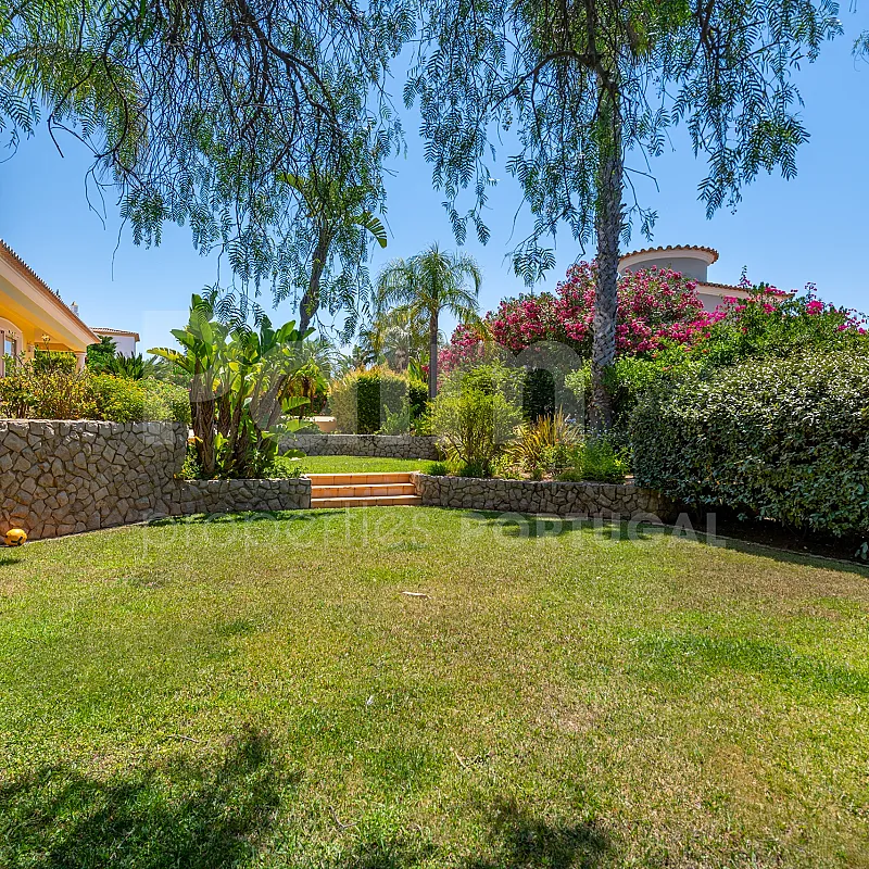 View image 49
