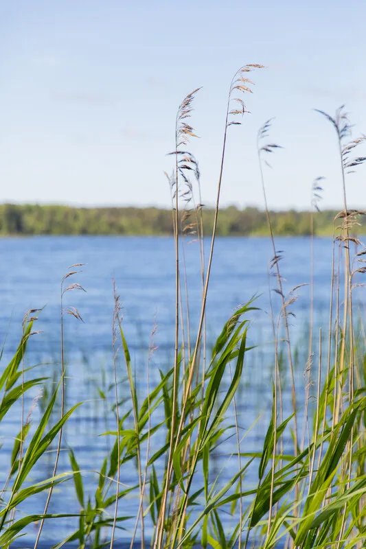 Historic 4-Bedroom Farmhouse with Expansive Land and Private Jetty in Väddö - View image 45 of 64