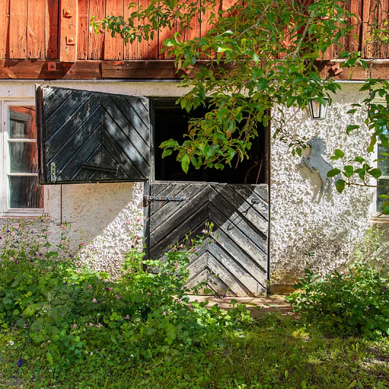 View image 49