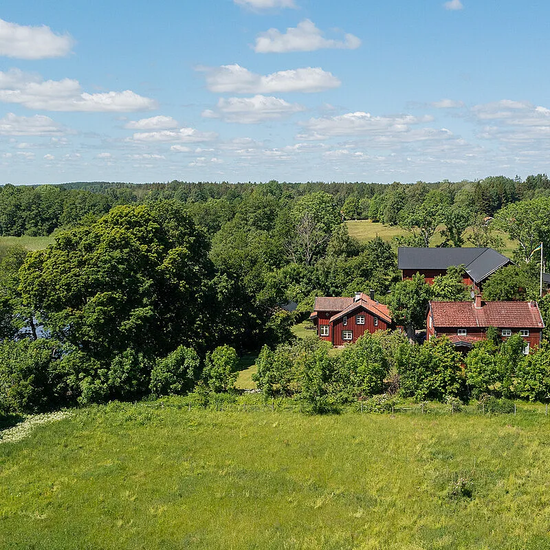 View image 61