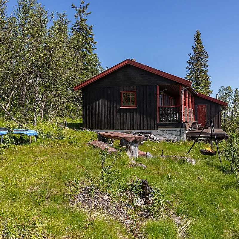View image 3