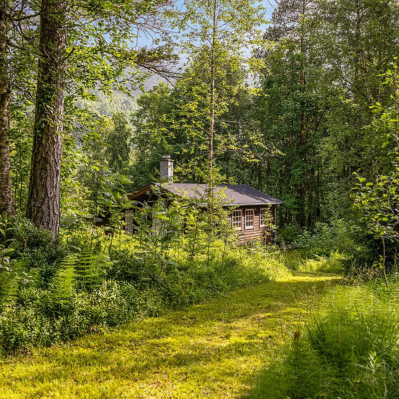 Bild 22 anzeigen