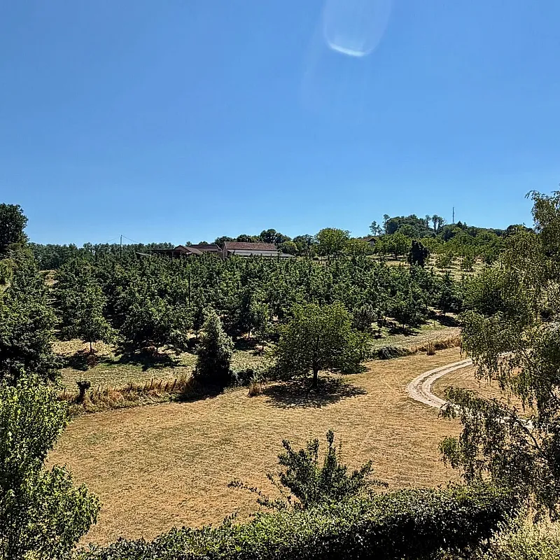 View image 18