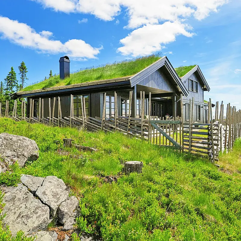 View image 10
