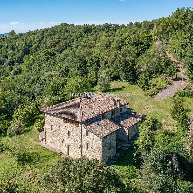 View image 7