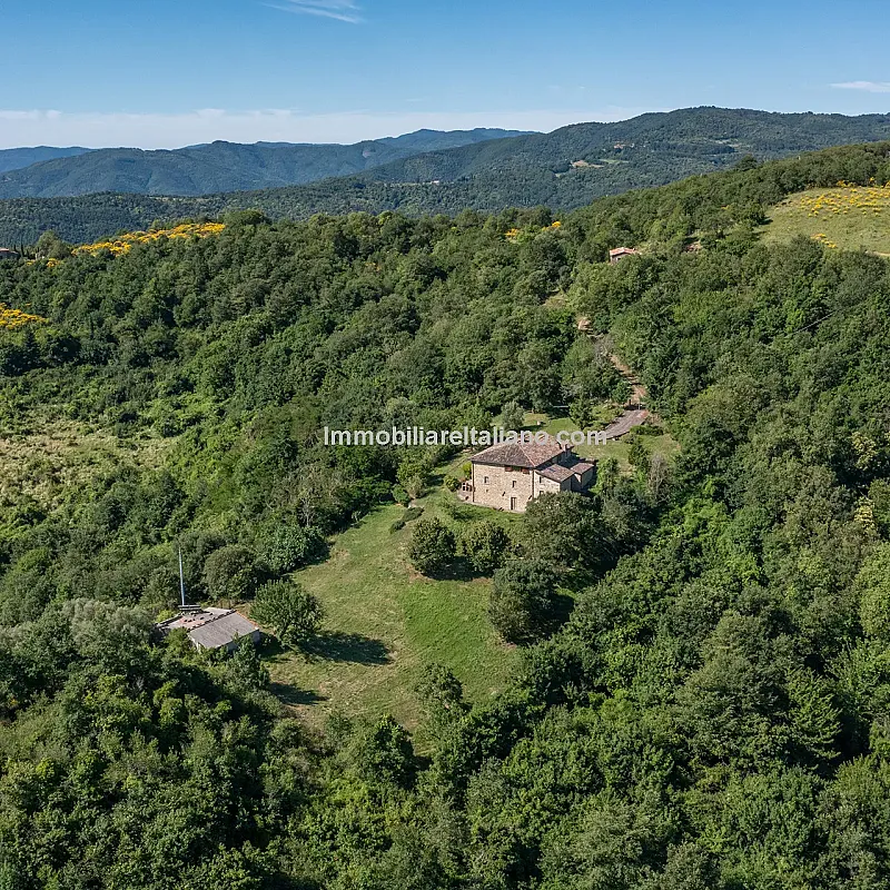 View image 8