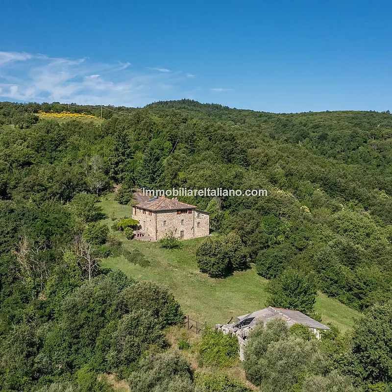 View image 9