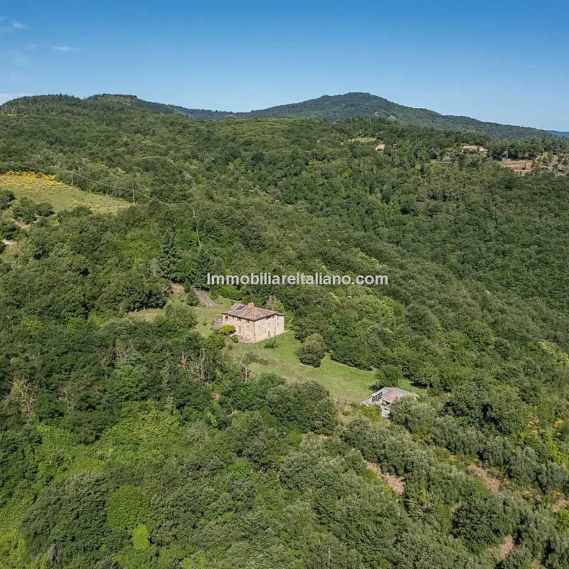 View image 10
