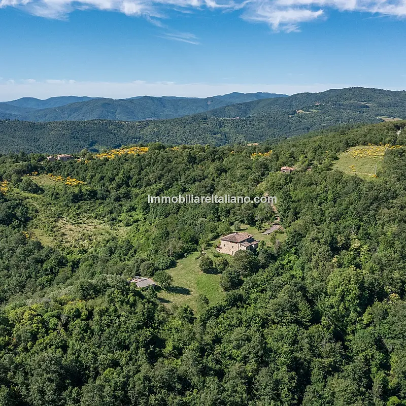 View image 11