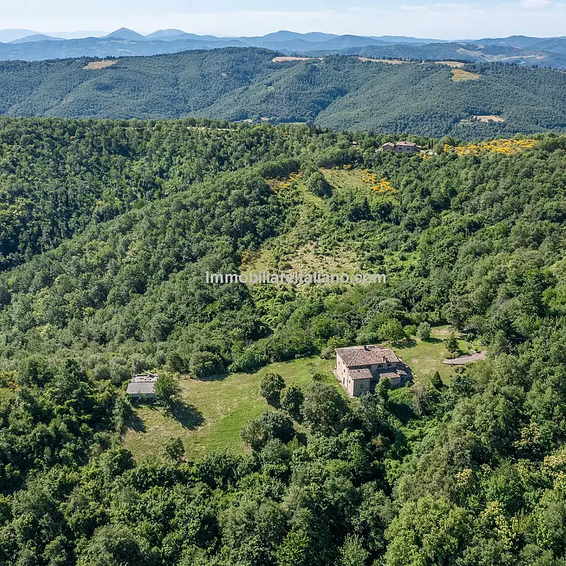 View image 12