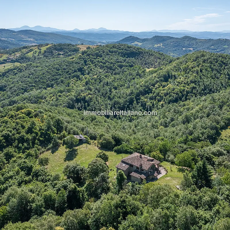 View image 13