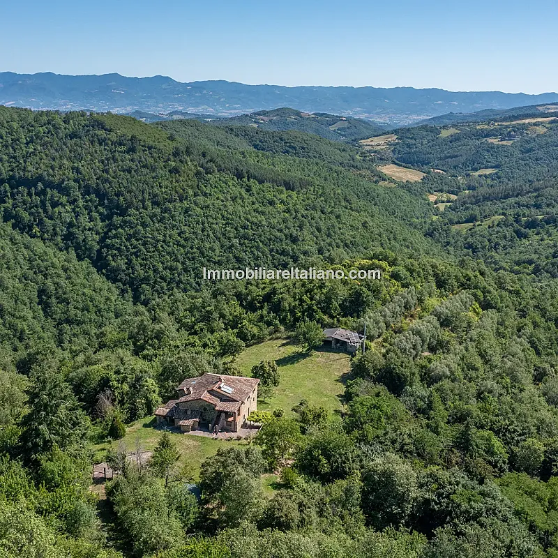 View image 14