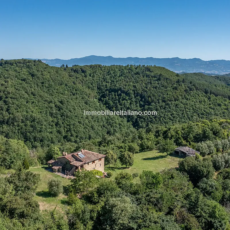View image 15