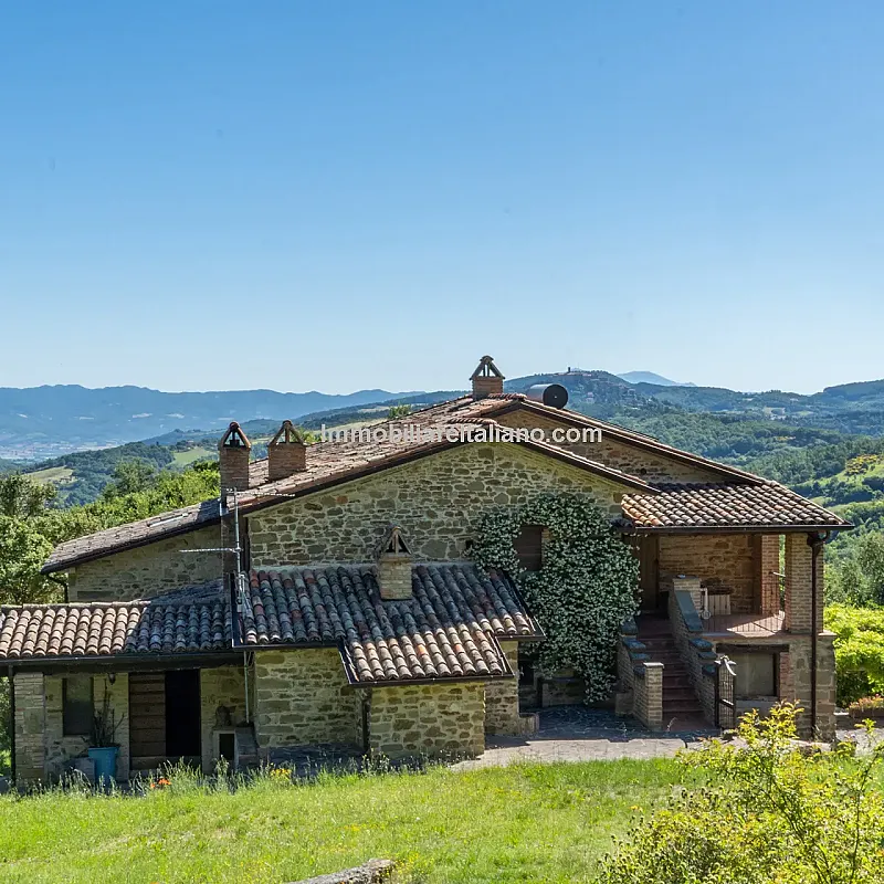 View image 17