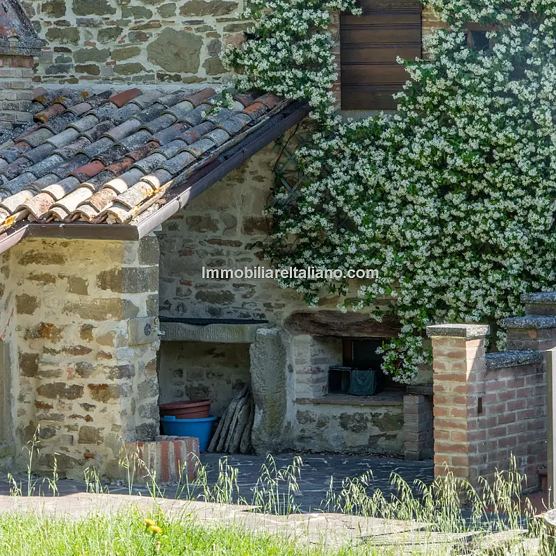 View image 21
