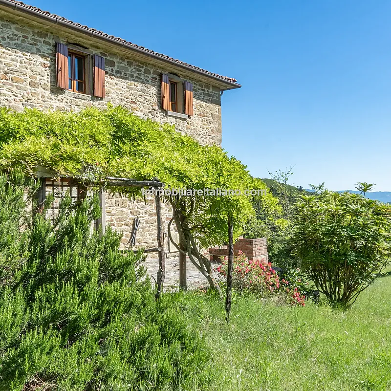 View image 23