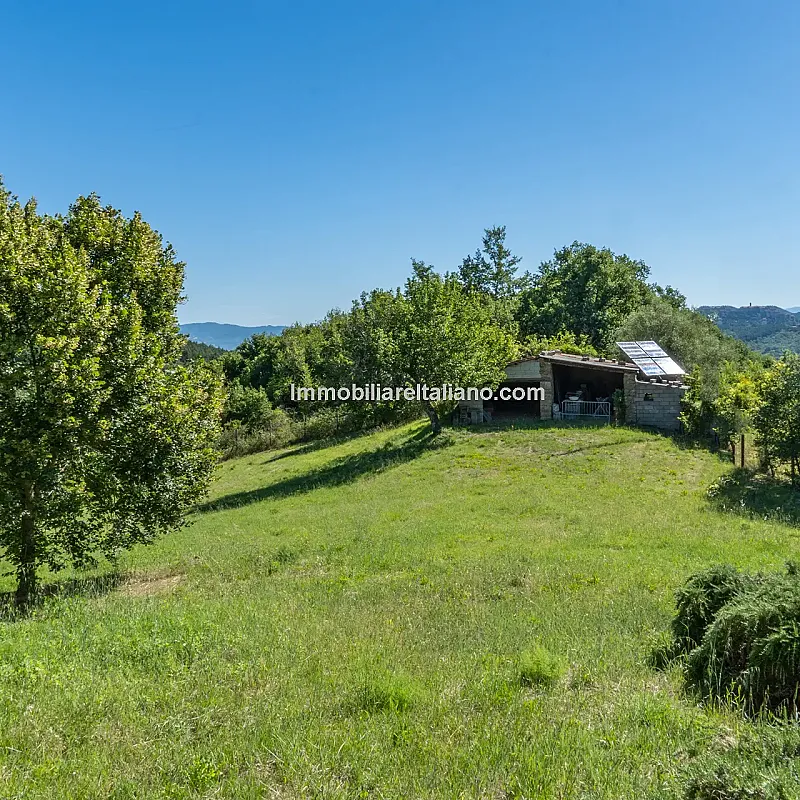 View image 24
