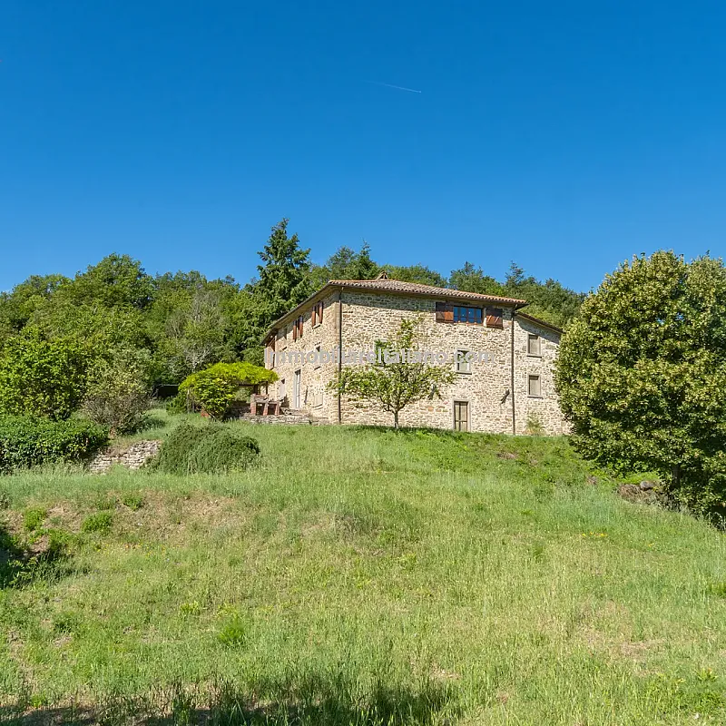 View image 26