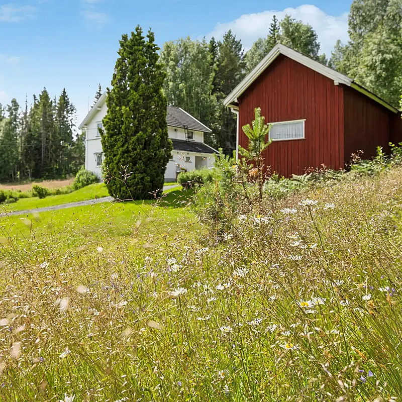 View image 35