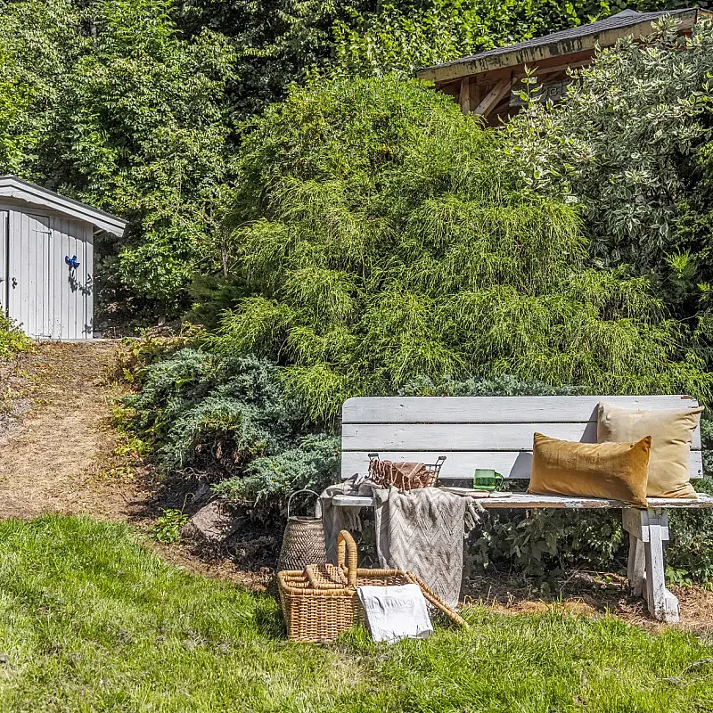 View image 42
