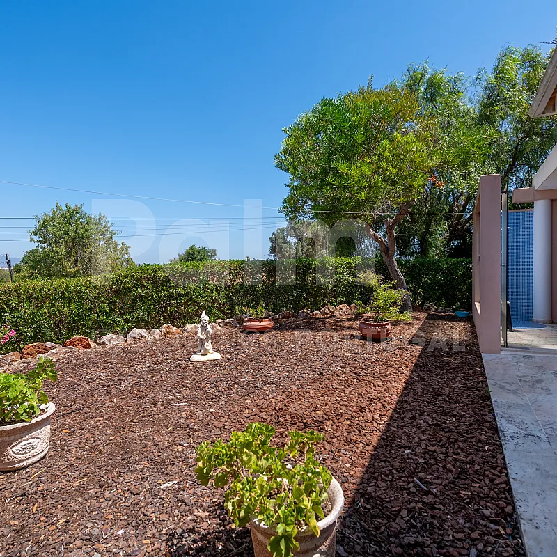 View image 50