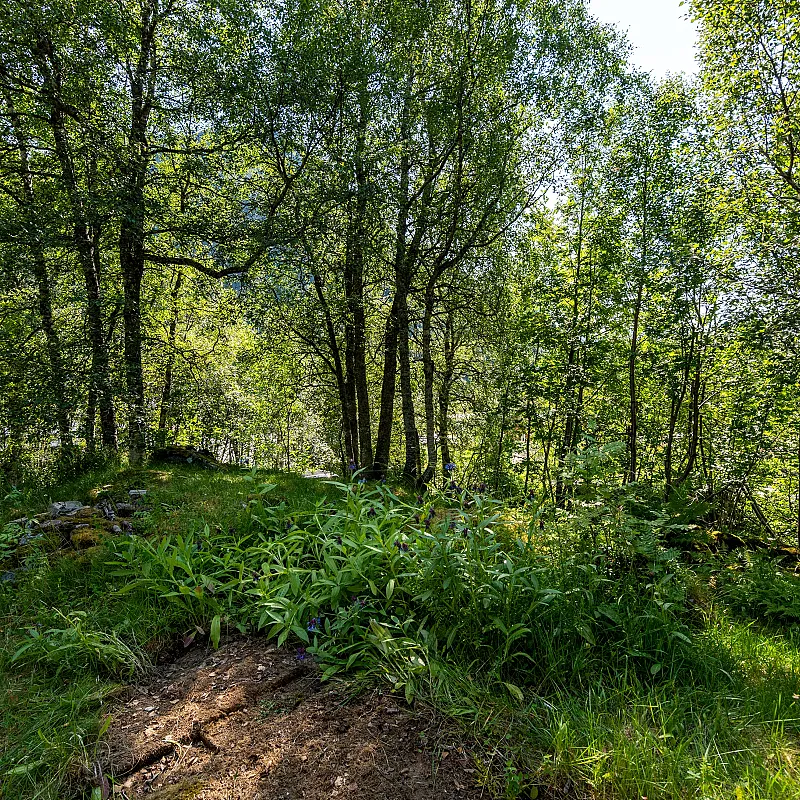 View image 27