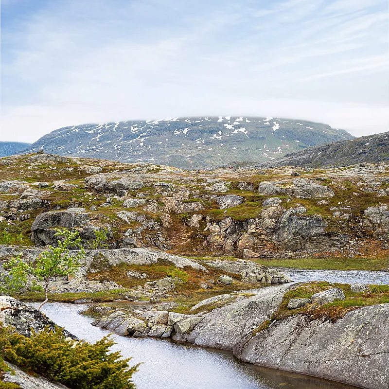 View image 37