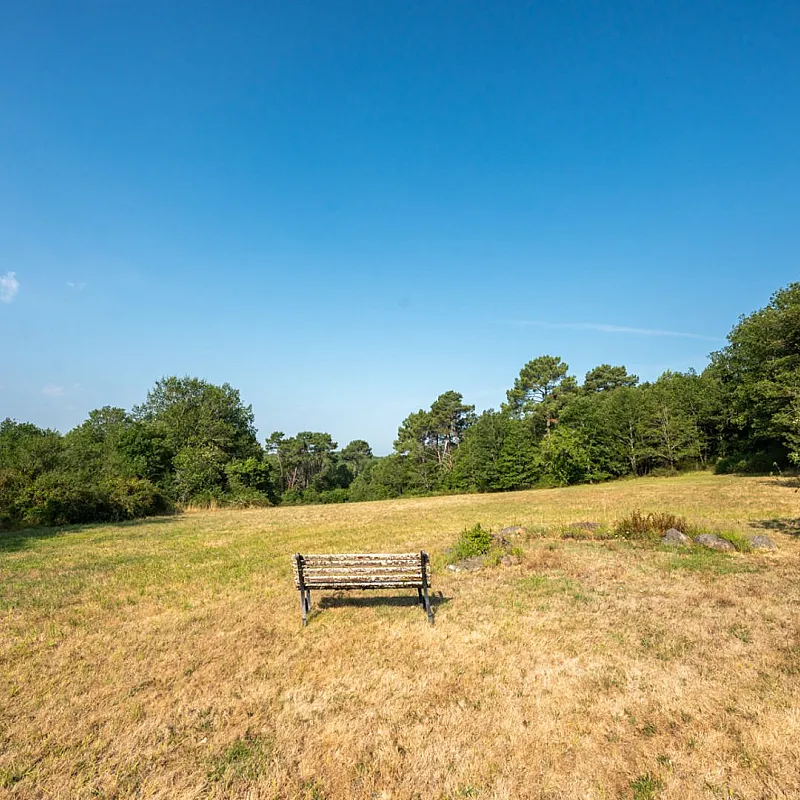 View image 8