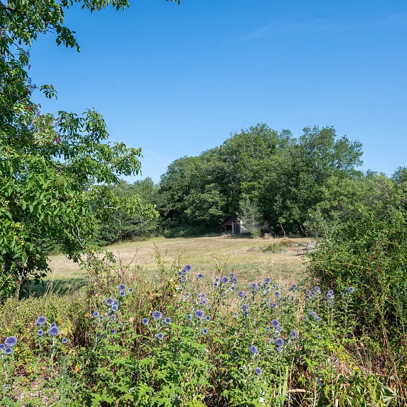 View image 35