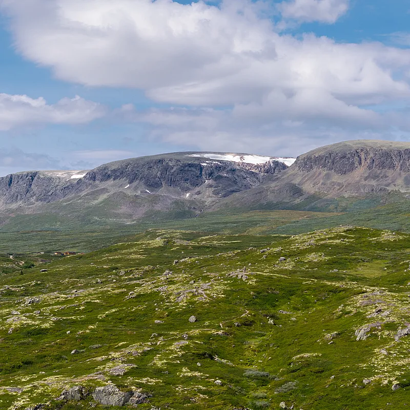 View image 31