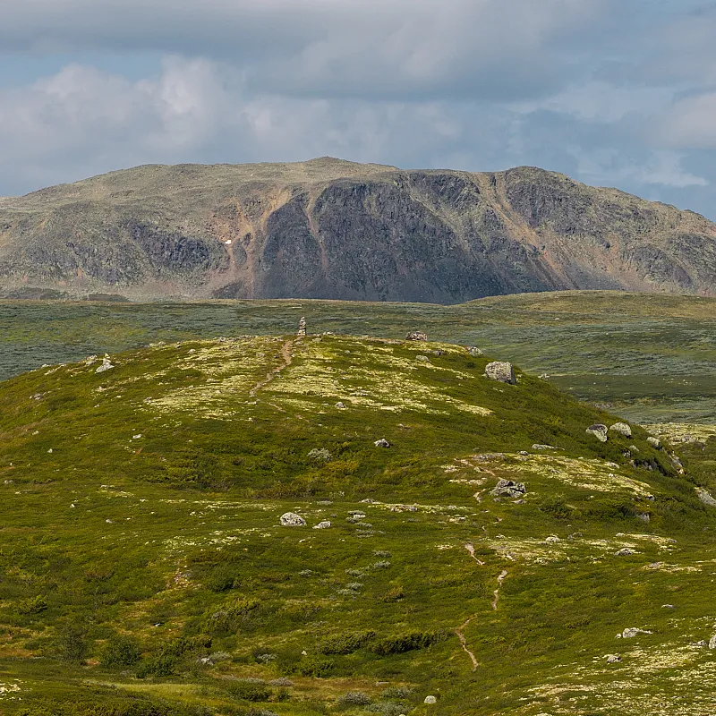 View image 40