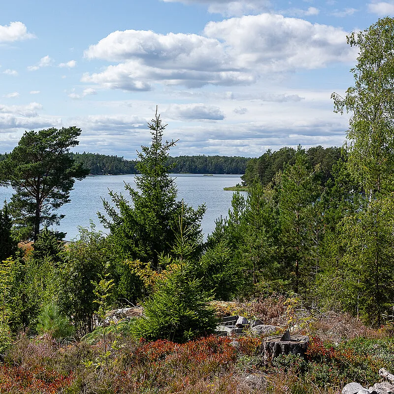 View image 35