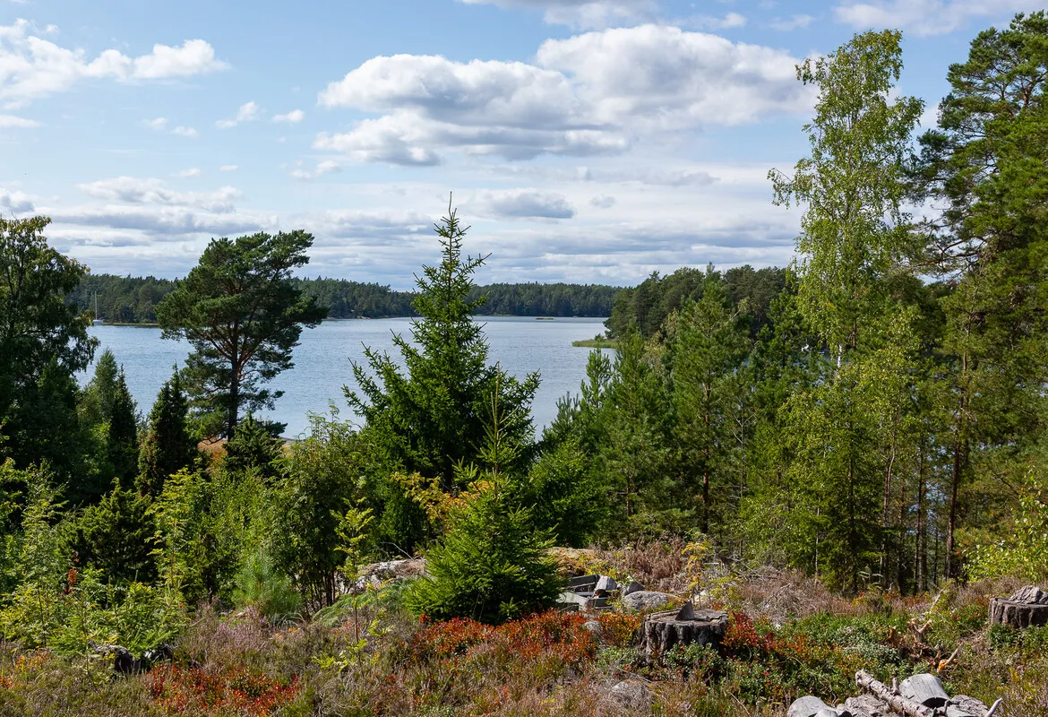 1970s Swedish Island House with Expansive Garden and Terrace - View image 35 of 48