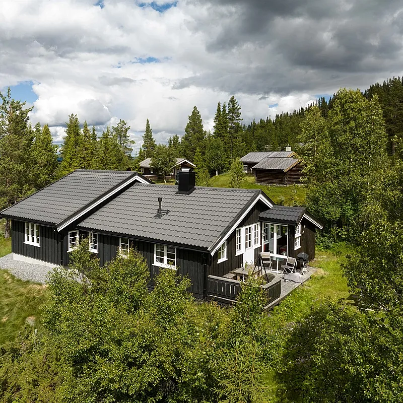 1965 Cabin in Viken: 4 Bedrooms, Ski Trails and Modern Upgrades